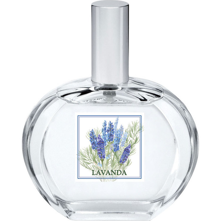 I Classici - Lavanda